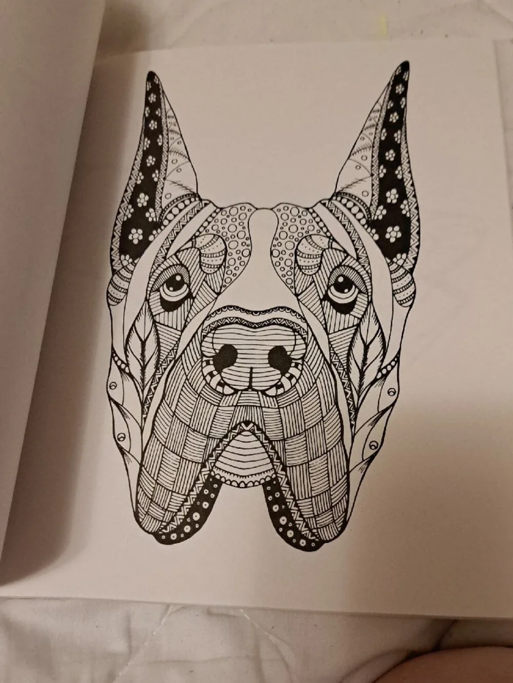 Colorama Delightful Dogs Coloring Book by Bullhead – Multicolor